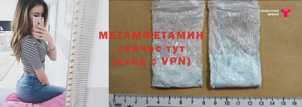 прущие грибы Зерноград