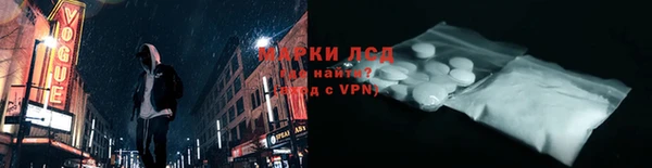 прущие грибы Зерноград