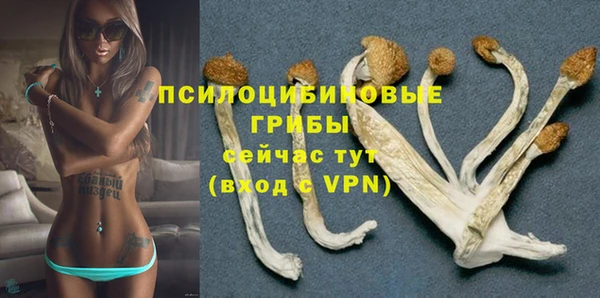 шишки Зеленокумск
