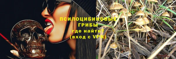 прущие грибы Зерноград