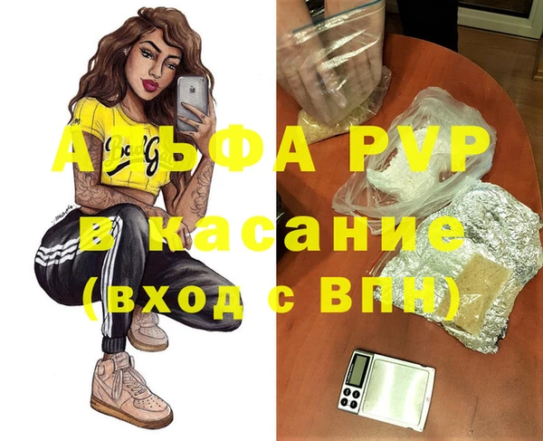 прущие грибы Зерноград