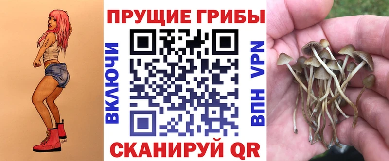 Галлюциногенные грибы GOLDEN TEACHER  Купить  Нурлат 